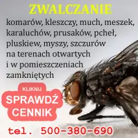 Dezysnekcja Deratyzacja Dezynfekcja, Gołdap tel. 500-380-690